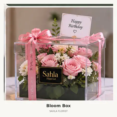 Bloom Box Jeneponto